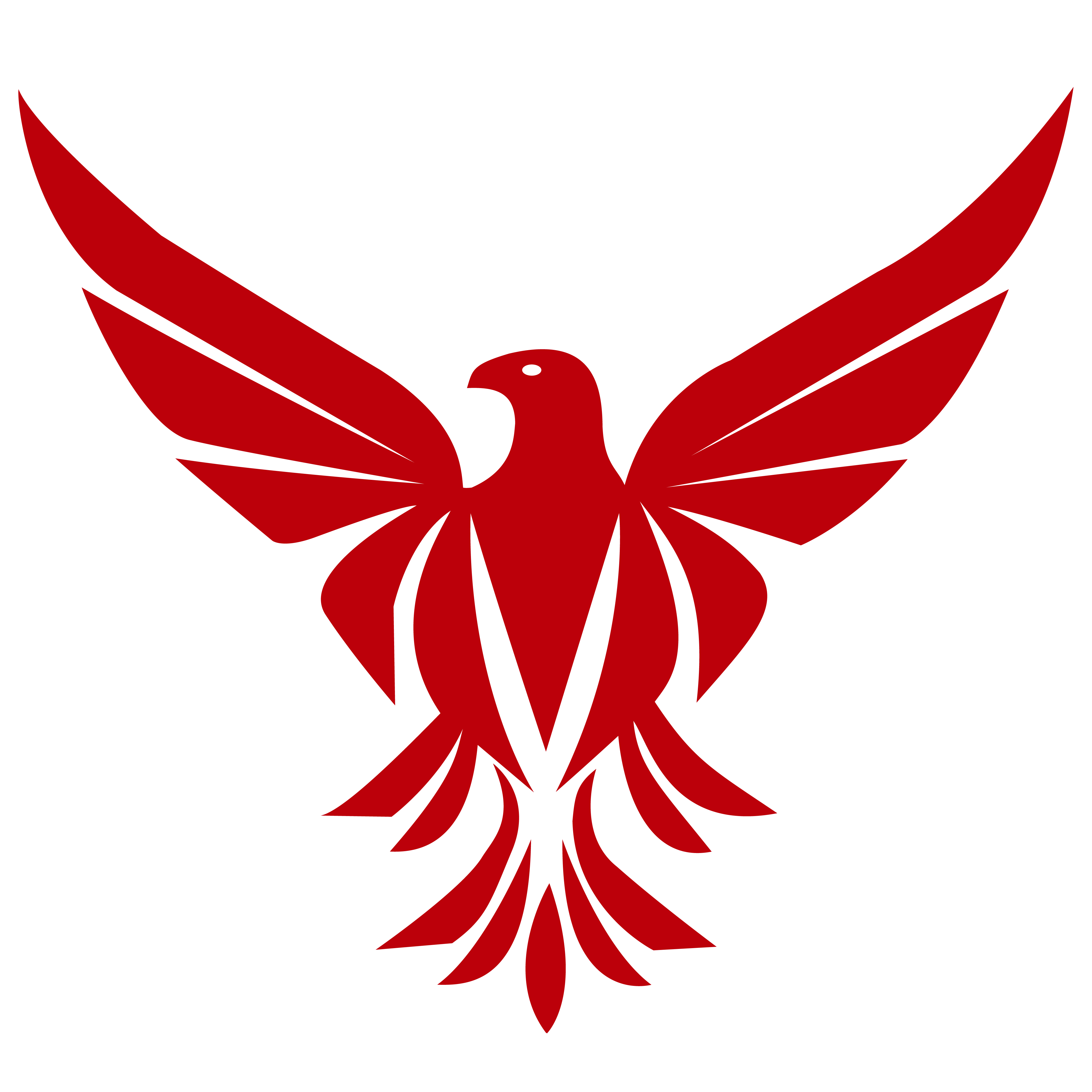 SecureLink Icon